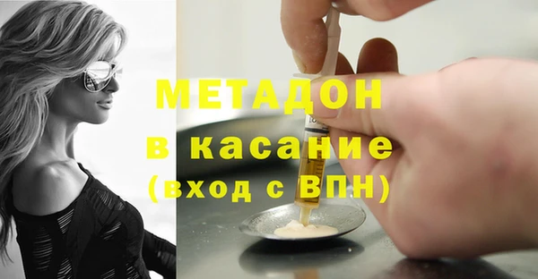индика Алзамай