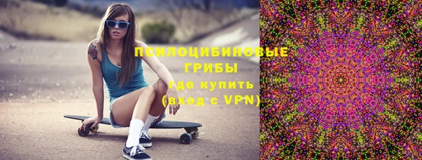 индика Алзамай
