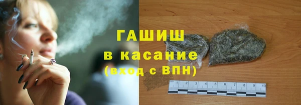 индика Алзамай
