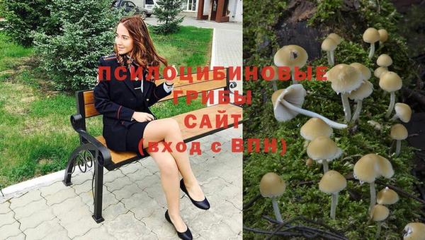 герыч Алексеевка