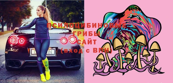 ПСИЛОЦИБИНОВЫЕ ГРИБЫ Касимов