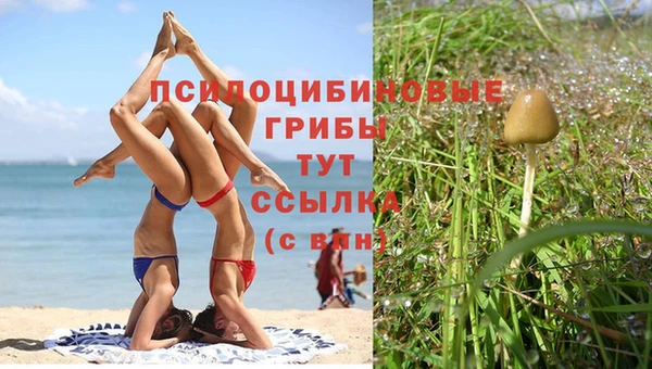 герыч Алексеевка