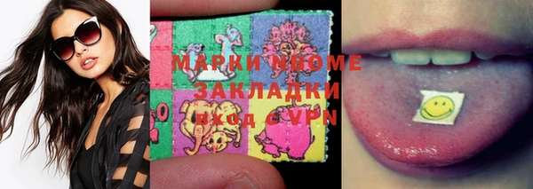 индика Алзамай